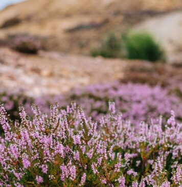 Najpiękniejsze parki krajobrazowe na Dolnym Śląsku cz.3