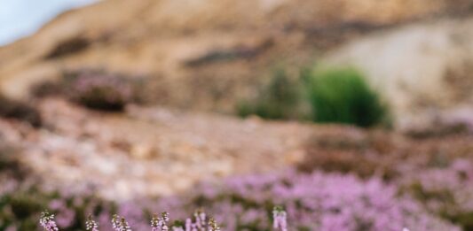 Najpiękniejsze parki krajobrazowe na Dolnym Śląsku cz.3