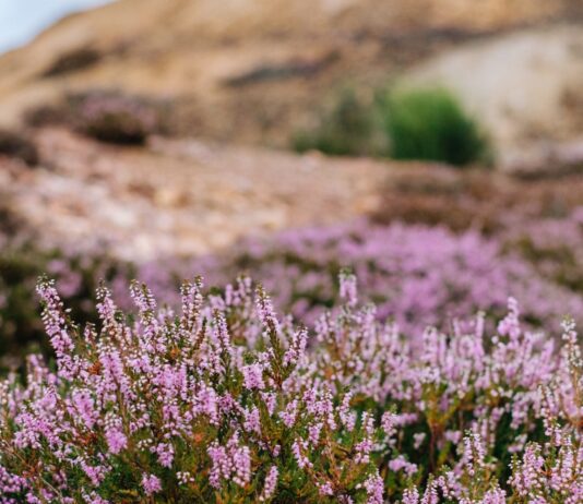 Najpiękniejsze parki krajobrazowe na Dolnym Śląsku cz.3