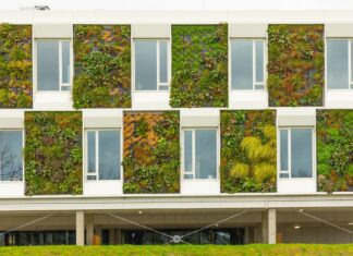 Ogródek za oknem nawet bez balkonu? Projekt wrocławskiej doktorantki z europejską nagrodą!