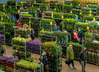 Festiwal Roślin już w najbliższy weekend we Wrocławiu