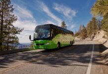 Wakacje bez samochodu? Ponad 230 wakacyjnych kierunków autobusem – od morza po góry!