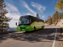 Wakacje bez samochodu? Ponad 230 wakacyjnych kierunków autobusem – od morza po góry!