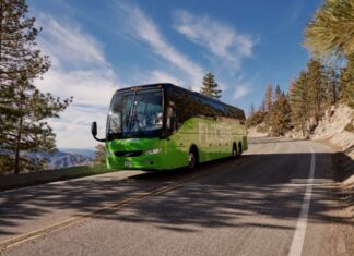 Wakacje bez samochodu? Ponad 230 wakacyjnych kierunków autobusem – od morza po góry!