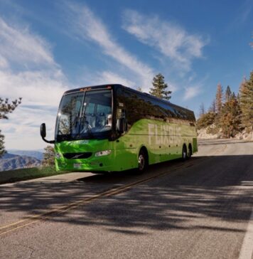 Wakacje bez samochodu? Ponad 230 wakacyjnych kierunków autobusem – od morza po góry!