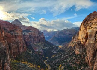 We wrocławskich Bibliotekach będzie Ameryka! Równoleżnik Zero 2023