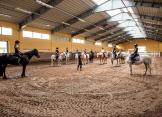 Wrocław: Półkolonie jeździeckie na Partynicach