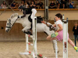 Rodzinnie na Partynicach – rozpocznij długi weekend podczas Family Day