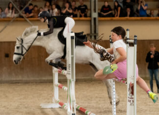 Rodzinnie na Partynicach – rozpocznij długi weekend podczas Family Day