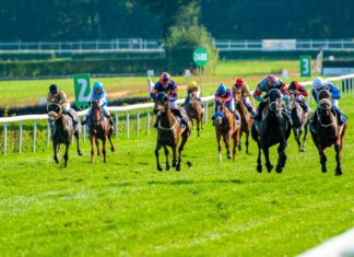 Wyścigi konne bez publiczności do końca sezonu 10. dzień wyścigowy na Partynicach