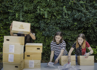 Masz dość komarów? Odbierz darmową budkę dla jerzyków od Mobile Vikings!