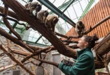 Wrocławskie ZOO ma nowego Dyrektora Generalnego!