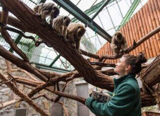 Wrocławskie ZOO ma nowego Dyrektora Generalnego!