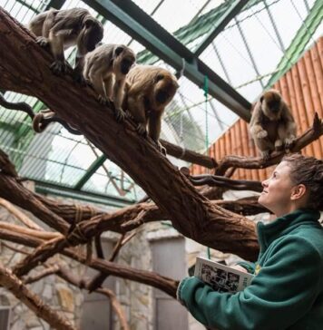 Wrocławskie ZOO ma nowego Dyrektora Generalnego!