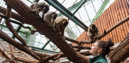 Wrocławskie ZOO ma nowego Dyrektora Generalnego!