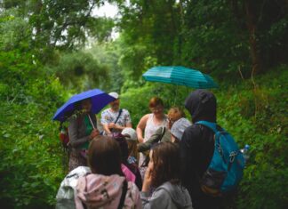 We Wrocławiu ruszają bezpłatne międzykulturowe spacery przyrodnicze dla całej rodziny!