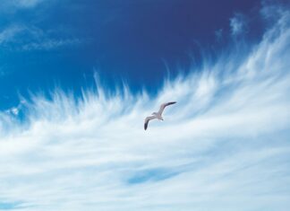 Jasne zasady i stabilne źródło finansowania – nowa odsłona programu Czyste Powietrze