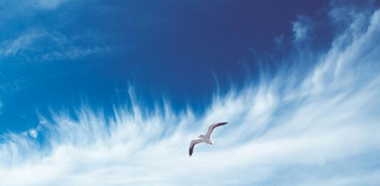 Jasne zasady i stabilne źródło finansowania – nowa odsłona programu Czyste Powietrze