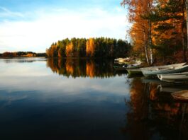 4 miejsca na jesienny relaks nad wodą w okolicy Wrocławia, do których dojedziesz pociągiem