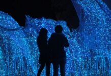 Ponad 200 świetlnych instalacji pod Wrocławiem! Lumina Park wraca już w piątek. Znamy ceny biletów