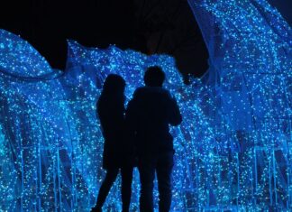 Ponad 200 świetlnych instalacji pod Wrocławiem! Lumina Park wraca już w piątek. Znamy ceny biletów