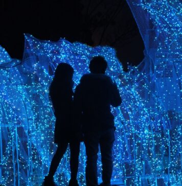 Ponad 200 świetlnych instalacji pod Wrocławiem! Lumina Park wraca już w piątek. Znamy ceny biletów
