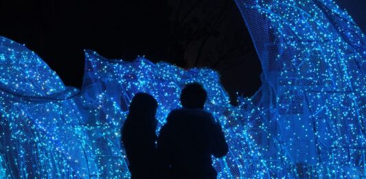 Ponad 200 świetlnych instalacji pod Wrocławiem! Lumina Park wraca już w piątek. Znamy ceny biletów