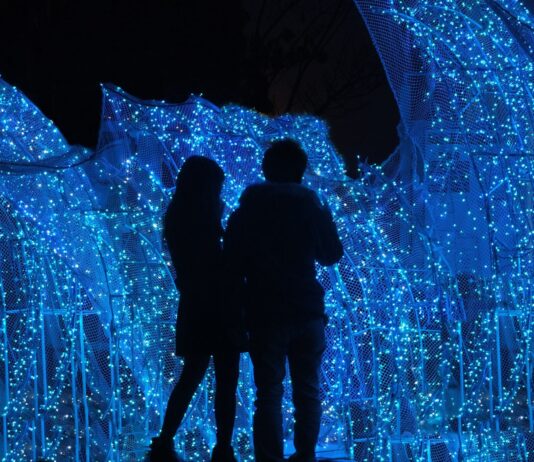 Ponad 200 świetlnych instalacji pod Wrocławiem! Lumina Park wraca już w piątek. Znamy ceny biletów