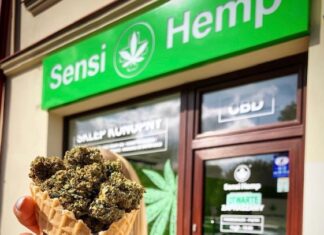 Gdzie we Wrocławiu legalnie kupisz Konopie?