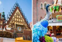 Otwarcie Jarmarku Świętojańskiego we Wrocławiu już w maju