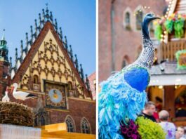 Otwarcie Jarmarku Świętojańskiego we Wrocławiu już w maju