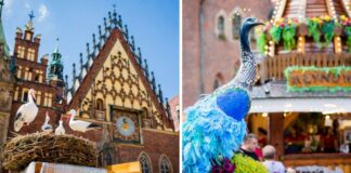 Otwarcie Jarmarku Świętojańskiego we Wrocławiu już w maju