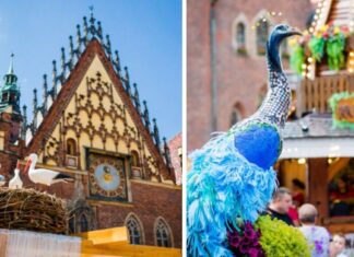 Otwarcie Jarmarku Świętojańskiego we Wrocławiu już w maju
