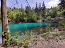 4 ciekawe pomysły na jednodniowe wycieczki w okolicy Wrocławia Kolorowe Jeziorka