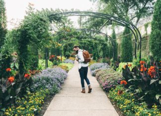 We Wrocławiu powstaną ogrody społeczne dla mieszkańców oraz ogródki warzywne przy szkołach