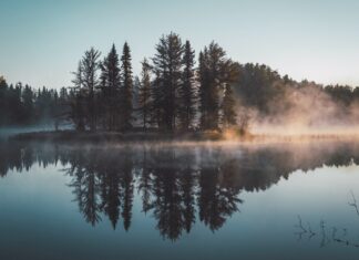 Osiem miejsc na spokojny relaks nad wodą w okolicy Wrocławia, o których mogliście nie słyszeć!