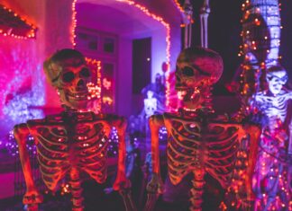 Takiego Halloween we Wrocławiu jeszcze nie było!