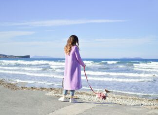 Dlaczego warto spędzać czas z psem na świeżym powietrzu?