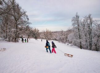 Gdzie na sanki we Wrocławiu i na Dolnym Śląsku?