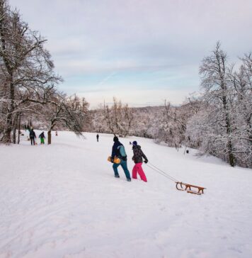 Gdzie na sanki we Wrocławiu i na Dolnym Śląsku?