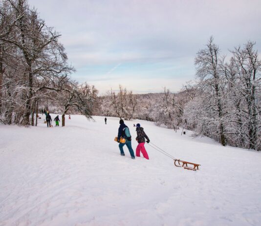 Gdzie na sanki we Wrocławiu i na Dolnym Śląsku?