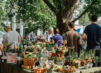 Wrocław: W Ogrodzie Botanicznym odbędzie się wyprzedaż nadwyżek roślin