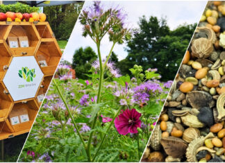 Wrocław: Rozdadzą 4 tysiące paczek z nasionami roślin! Odbierz jedną już w czwartek