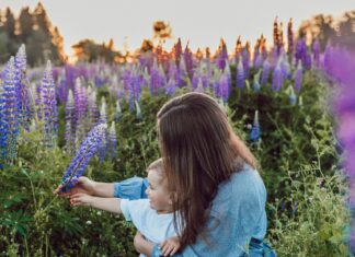 8 świetnych pomysłów na świętowanie Dnia Mamy we Wrocławiu!