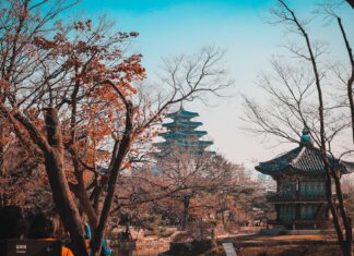 K-Weekend na wrocławskim lotnisku. Dwa dni koreańskich atrakcji