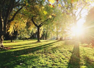 Park Biskupiński – symbol wrocławskiego umiłowania zieleni