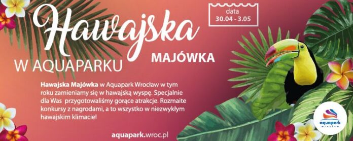 weekend we Wrocławiu: wydarzenia na majówkę