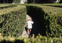 Park Brochowski – najstarszy park we Wrocławiu