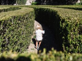 Park Brochowski – najstarszy park we Wrocławiu