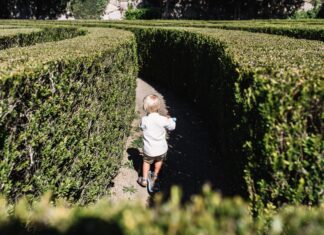 Park Brochowski – najstarszy park we Wrocławiu